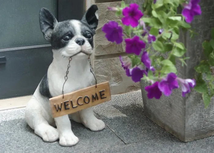 Daire Andrijasevic *