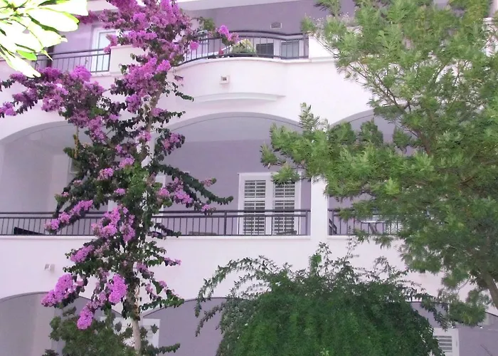 Apartment Andrijasevic